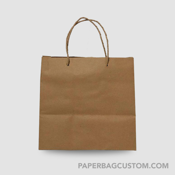 Paper Bag Custom